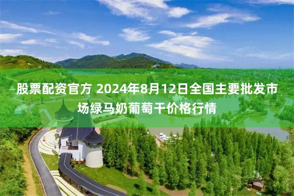 股票配资官方 2024年8月12日全国主要批发市场绿马奶葡萄干价格行情