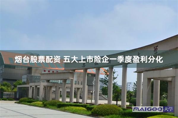 烟台股票配资 五大上市险企一季度盈利分化