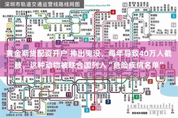 黄金期货配资开户 神出鬼没，每年导致40万人截肢，这种动物被联合国列入“危险疾病名单”