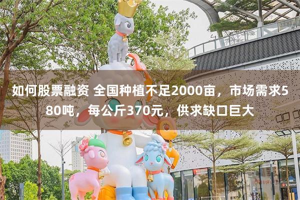 如何股票融资 全国种植不足2000亩，市场需求580吨，每公斤370元，供求缺口巨大