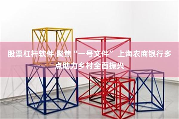 股票杠杆软件 聚焦“一号文件” 上海农商银行多点助力乡村全面振兴