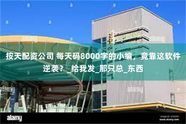 按天配资公司 每天码8000字的小编，竟靠这软件逆袭？_给我发_那只总_东西