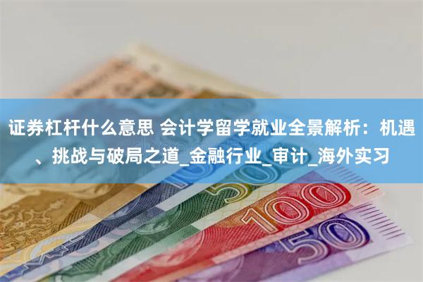 证券杠杆什么意思 会计学留学就业全景解析：机遇、挑战与破局之道_金融行业_审计_海外实习