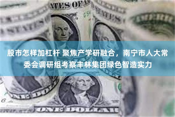 股市怎样加杠杆 聚焦产学研融合，南宁市人大常委会调研组考察丰林集团绿色智造实力