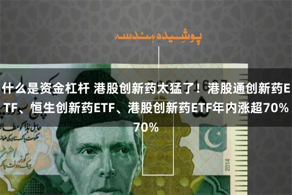 什么是资金杠杆 港股创新药太猛了！港股通创新药ETF、恒生创新药ETF、港股创新药ETF年内涨超70%