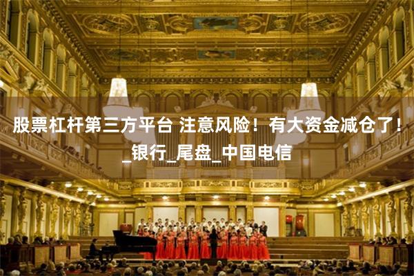 股票杠杆第三方平台 注意风险！有大资金减仓了！_银行_尾盘_中国电信