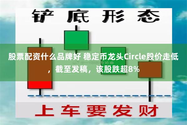 股票配资什么品牌好 稳定币龙头Circle股价走低，截至发稿，该股跌超8%