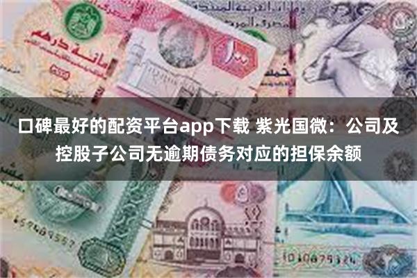 口碑最好的配资平台app下载 紫光国微：公司及控股子公司无逾期债务对应的担保余额