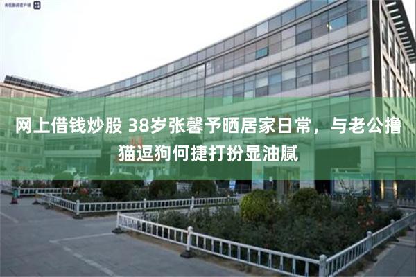 网上借钱炒股 38岁张馨予晒居家日常，与老公撸猫逗狗何捷打扮显油腻