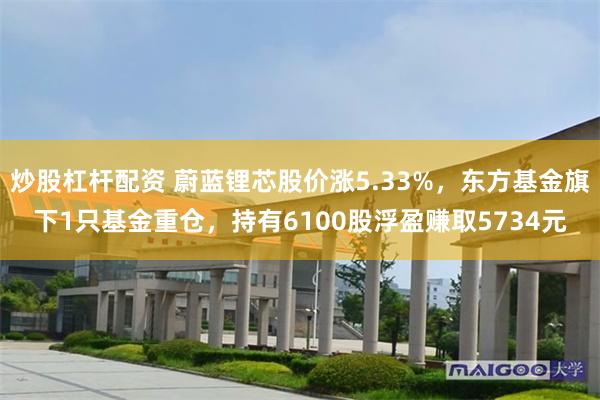 炒股杠杆配资 蔚蓝锂芯股价涨5.33%，东方基金旗下1只基金重仓，持有6100股浮盈赚取5734元