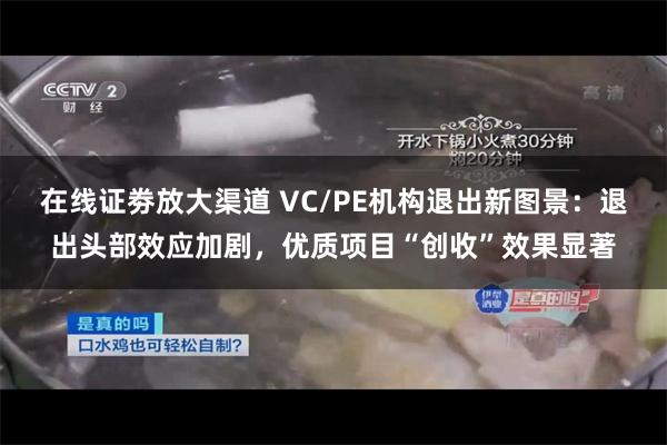 在线证劵放大渠道 VC/PE机构退出新图景：退出头部效应加剧，优质项目“创收”效果显著
