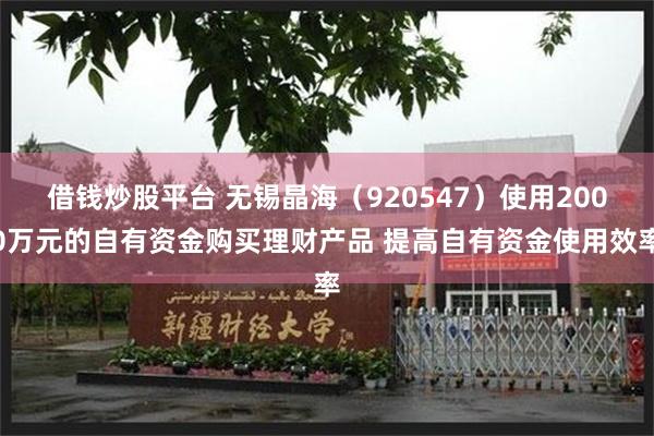 借钱炒股平台 无锡晶海（920547）使用2000万元的自有资金购买理财产品 提高自有资金使用效率