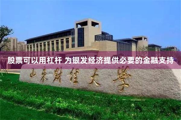 股票可以用杠杆 为银发经济提供必要的金融支持