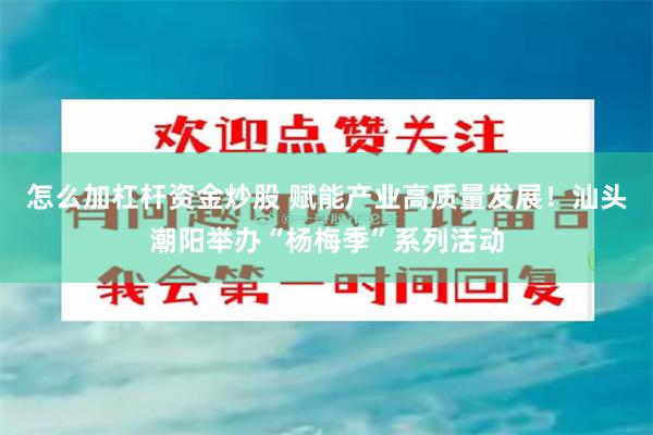 怎么加杠杆资金炒股 赋能产业高质量发展！汕头潮阳举办“杨梅季”系列活动
