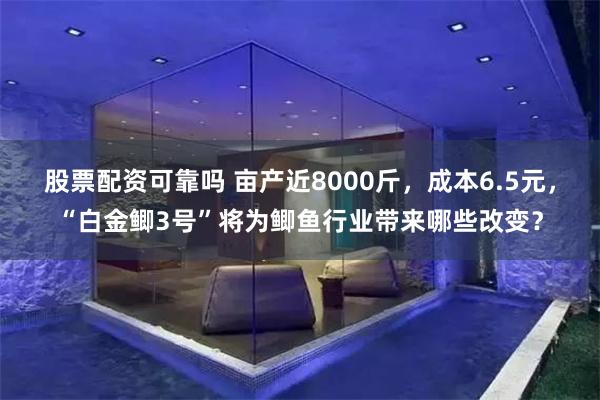 股票配资可靠吗 亩产近8000斤，成本6.5元，“白金鲫3号”将为鲫鱼行业带来哪些改变？