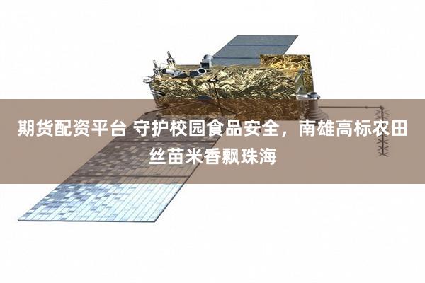 期货配资平台 守护校园食品安全，南雄高标农田丝苗米香飘珠海