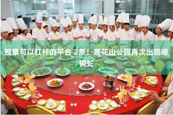 股票可以杠杆的平台 2条！莲花山公园再次出现眼镜蛇