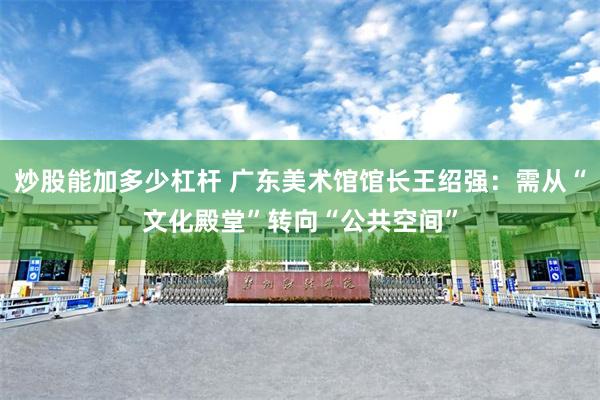 炒股能加多少杠杆 广东美术馆馆长王绍强：需从“文化殿堂”转向“公共空间”