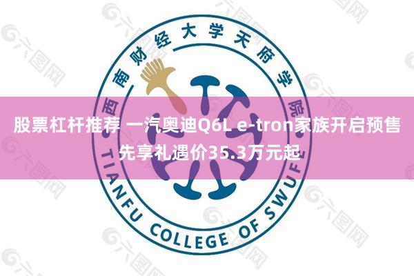 股票杠杆推荐 一汽奥迪Q6L e-tron家族开启预售 先享礼遇价35.3万元起