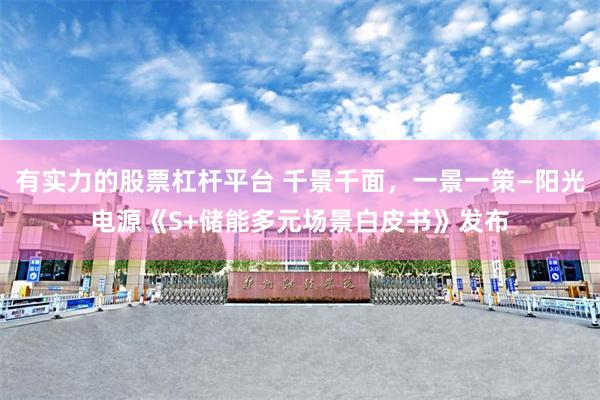 有实力的股票杠杆平台 千景千面，一景一策—阳光电源《S+储能多元场景白皮书》发布