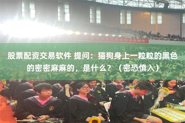 股票配资交易软件 提问：猫狗身上一粒粒的黑色的密密麻麻的，是什么？（密恐慎入）