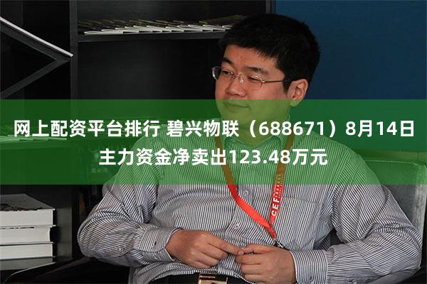 网上配资平台排行 碧兴物联（688671）8月14日主力资金净卖出123.48万元