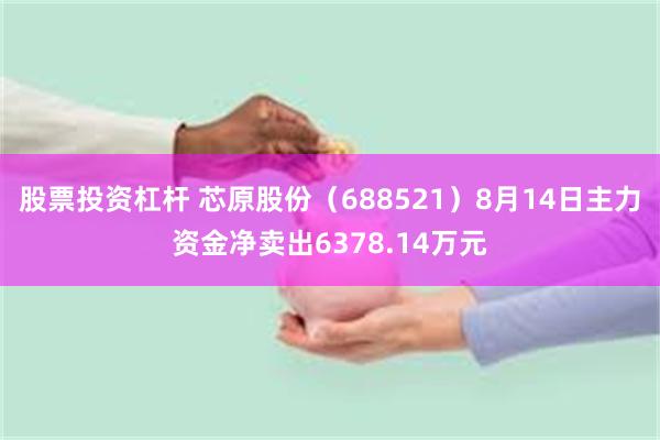 股票投资杠杆 芯原股份（688521）8月14日主力资金净卖出6378.14万元