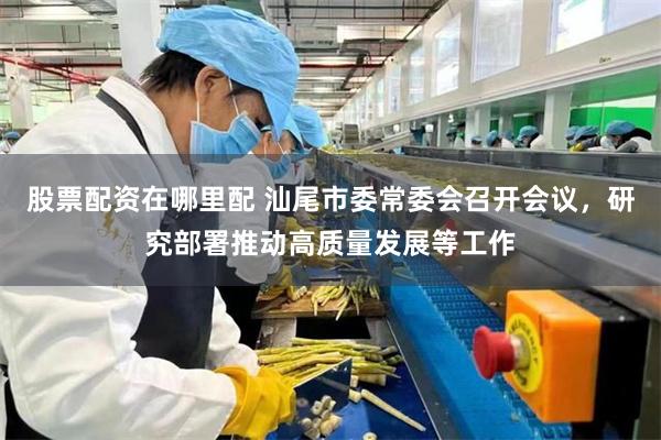 股票配资在哪里配 汕尾市委常委会召开会议，研究部署推动高质量发展等工作