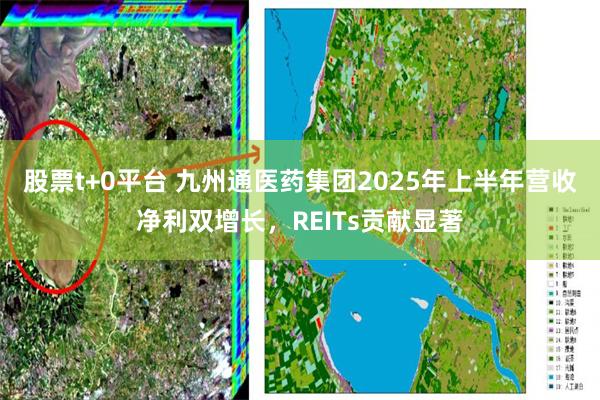 股票t+0平台 九州通医药集团2025年上半年营收净利双增长，REITs贡献显著