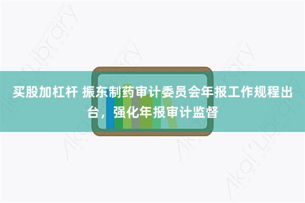 买股加杠杆 振东制药审计委员会年报工作规程出台，强化年报审计监督