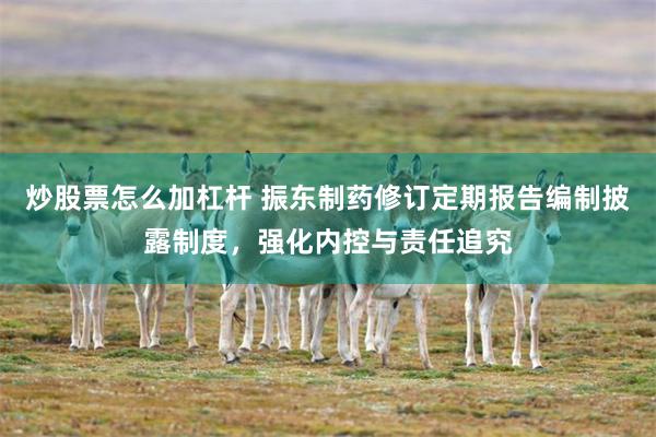炒股票怎么加杠杆 振东制药修订定期报告编制披露制度，强化内控与责任追究