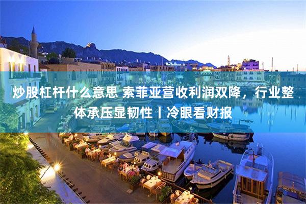炒股杠杆什么意思 索菲亚营收利润双降,行业整体承压显韧性丨冷眼看财报