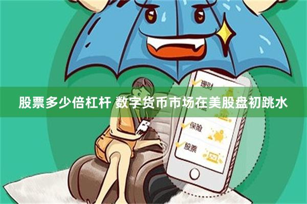 股票多少倍杠杆 数字货币市场在美股盘初跳水