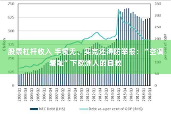 股票杠杆收入 手慢无、买完还得防举报:“空调羞耻”下欧洲人的自救