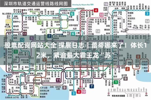股票配资网站大全 探展日志｜蕾蒂娜来了！体长12米，紧追最大霸王龙“苏”