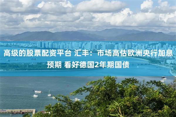 高级的股票配资平台 汇丰:市场高估欧洲央行加息预期 看好德国2年期国债
