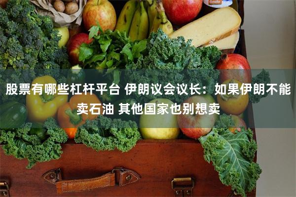 股票有哪些杠杆平台 伊朗议会议长:如果伊朗不能卖石油 其他国家也别想卖