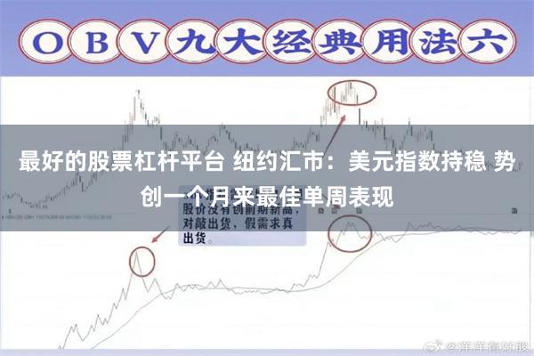 最好的股票杠杆平台 纽约汇市:美元指数持稳 势创一个月来最佳单周表现