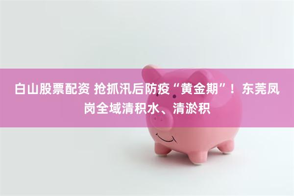 白山股票配资 抢抓汛后防疫“黄金期”！东莞凤岗全域清积水、清淤积