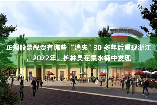 正规股票配资有哪些 “消失”30 多年后重现浙江，2022年，护林员在集水桶中发现