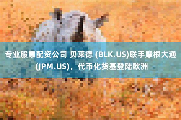 专业股票配资公司 贝莱德 (BLK.US)联手摩根大通 (JPM.US)，代币化货基登陆欧洲