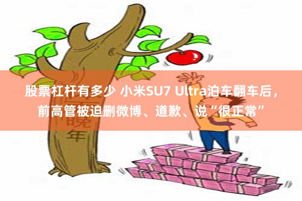 股票杠杆有多少 小米SU7 Ultra泊车翻车后，前高管被迫删微博、道歉、说“很正常”