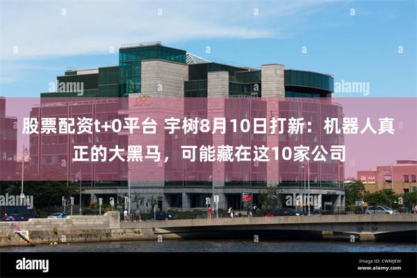股票配资t+0平台 宇树8月10日打新:机器人真正的大黑马,可能藏在这10家公司