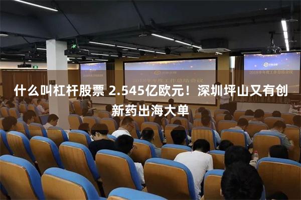 什么叫杠杆股票 2.545亿欧元！深圳坪山又有创新药出海大单