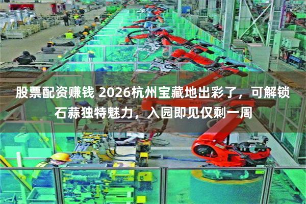 股票配资赚钱 2026杭州宝藏地出彩了，可解锁石蒜独特魅力，入园即见仅剩一周