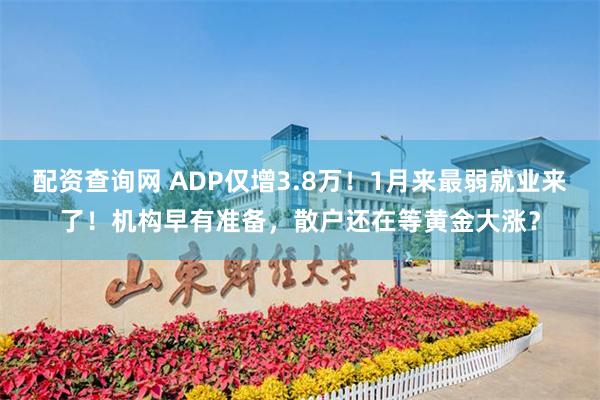 配资查询网 ADP仅增3.8万！1月来最弱就业来了！机构早有准备，散户还在等黄金大涨？