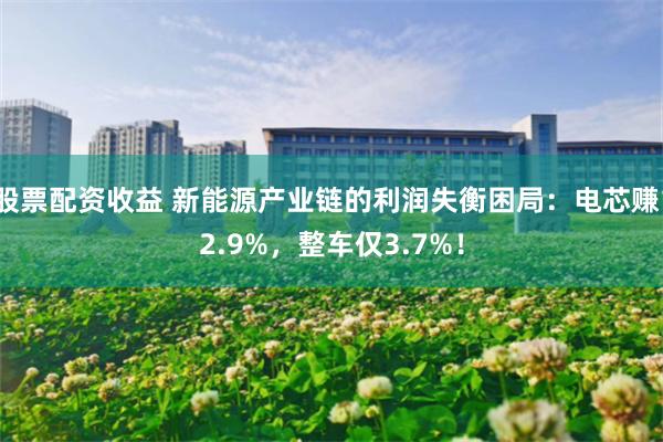 股票配资收益 新能源产业链的利润失衡困局：电芯赚12.9%，整车仅3.7%！