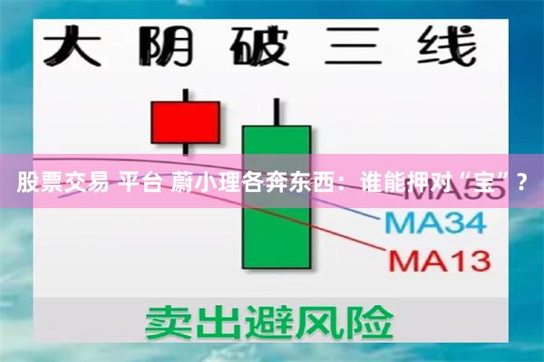股票交易 平台 蔚小理各奔东西：谁能押对“宝”？
