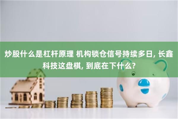 炒股什么是杠杆原理 机构锁仓信号持续多日, 长鑫科技这盘棋, 到底在下什么?