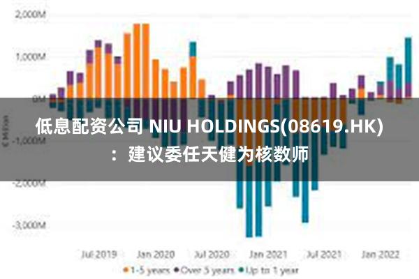 低息配资公司 NIU HOLDINGS(08619.HK)：建议委任天健为核数师